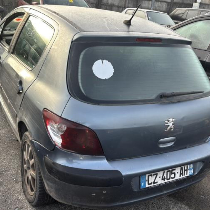 Mastervac PEUGEOT 307 Photo n°4