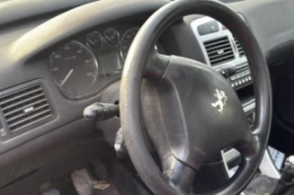 Mastervac PEUGEOT 307