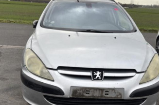 Arret de porte arriere gauche PEUGEOT 307