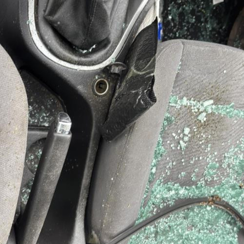 Arret de porte arriere gauche PEUGEOT 307 Photo n°17