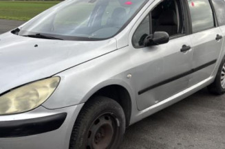 Mastervac PEUGEOT 307 Photo n°1