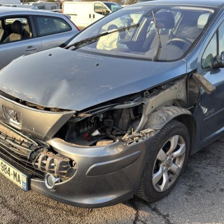 Mastervac PEUGEOT 307 Photo n°1