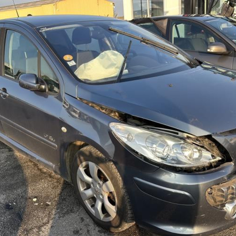 Mastervac PEUGEOT 307 Photo n°2
