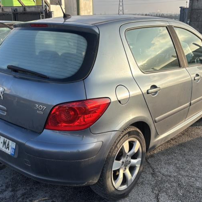 Mastervac PEUGEOT 307 Photo n°3