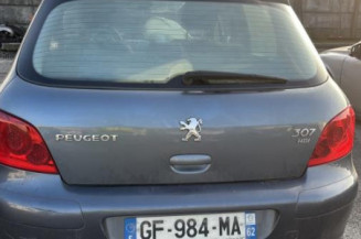 Mastervac PEUGEOT 307