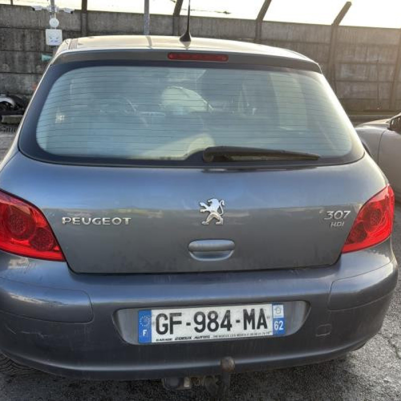 Mastervac PEUGEOT 307 Photo n°5