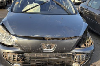 Mastervac PEUGEOT 307