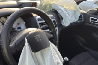 Mastervac PEUGEOT 307