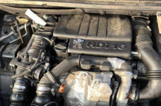 Mastervac PEUGEOT 307