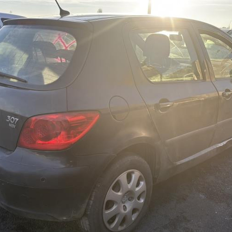 Mastervac PEUGEOT 307 Photo n°3