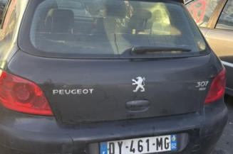 Mastervac PEUGEOT 307
