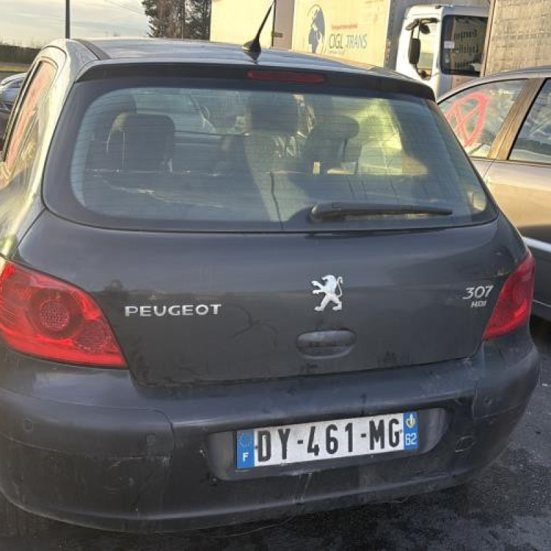 Mastervac PEUGEOT 307 Photo n°5