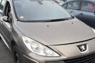 Arret de porte arriere gauche PEUGEOT 307