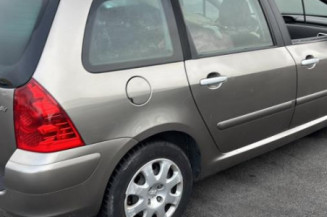 Mastervac PEUGEOT 307