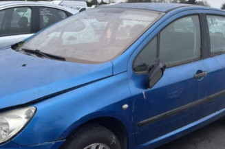 Mastervac PEUGEOT 307 Photo n°1