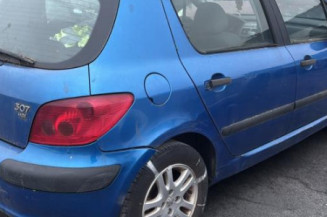 Mastervac PEUGEOT 307