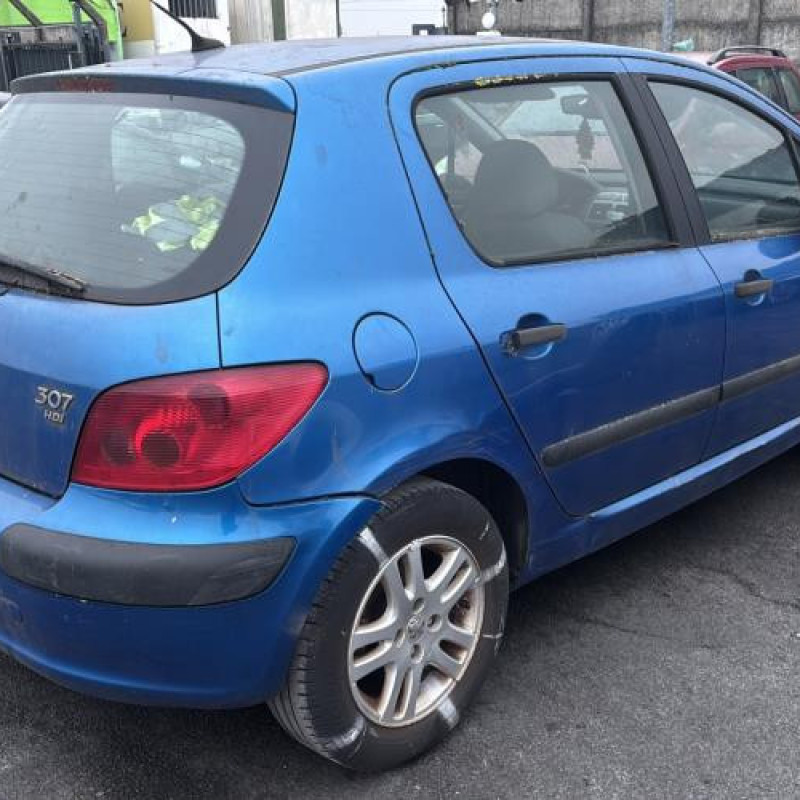 Mastervac PEUGEOT 307 Photo n°3