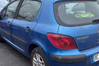 Mastervac PEUGEOT 307
