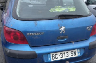 Mastervac PEUGEOT 307