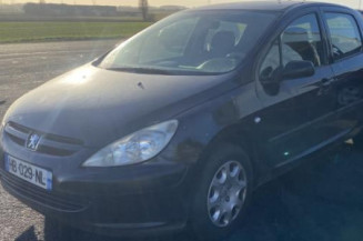 Mastervac PEUGEOT 307 Photo n°1