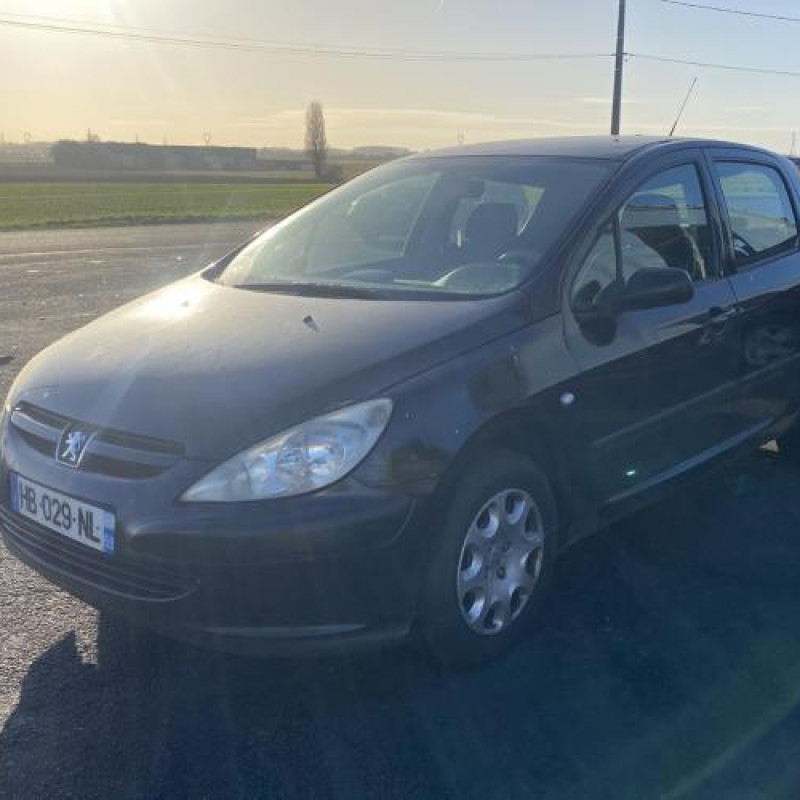 Mastervac PEUGEOT 307 Photo n°1