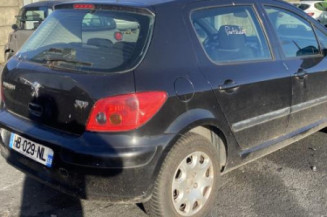 Mastervac PEUGEOT 307
