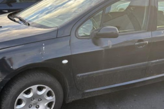 Mastervac PEUGEOT 307