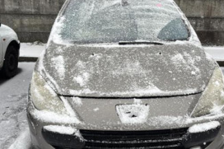 Arret de porte arriere gauche PEUGEOT 307