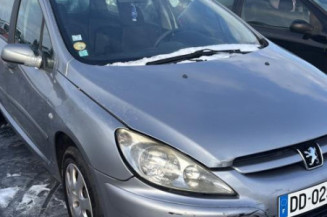 Arret de porte arriere gauche PEUGEOT 307
