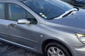 Arret de porte arriere gauche PEUGEOT 307