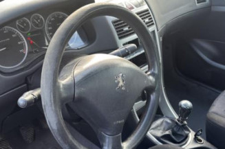 Arret de porte arriere gauche PEUGEOT 307