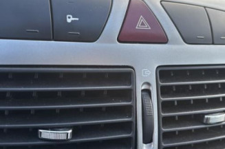 Arret de porte arriere gauche PEUGEOT 307