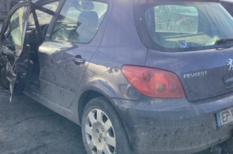 Compteur PEUGEOT 307