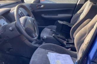 Arret de porte arriere gauche PEUGEOT 307