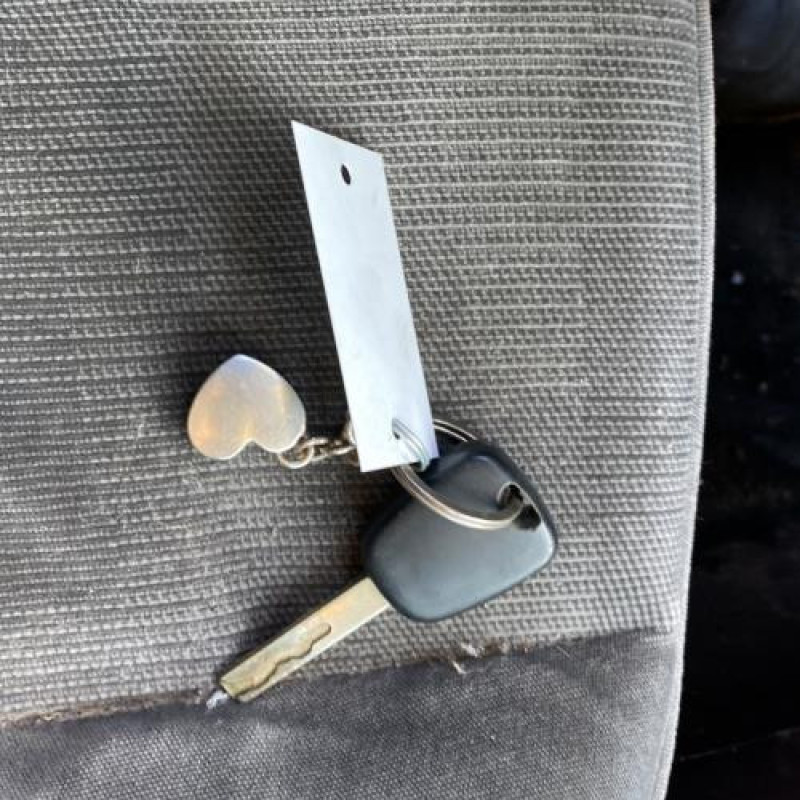 Arret de porte arriere gauche PEUGEOT 307 Photo n°10