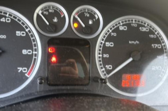 Arret de porte arriere gauche PEUGEOT 307