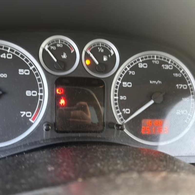 Arret de porte arriere gauche PEUGEOT 307 Photo n°17