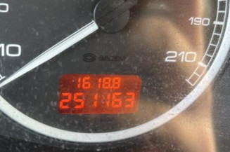 Arret de porte arriere gauche PEUGEOT 307