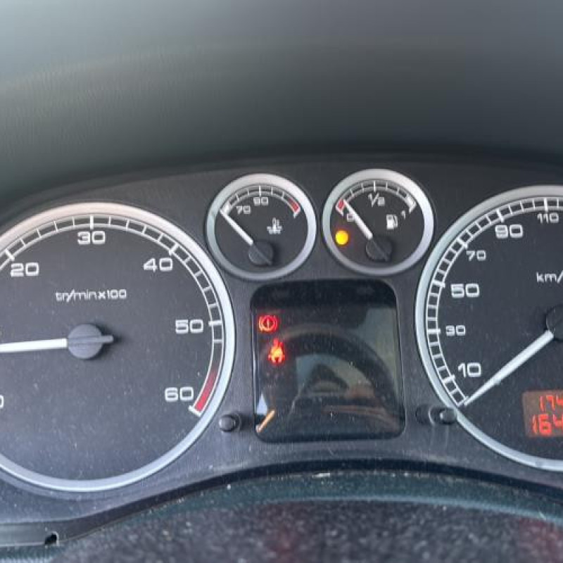 Custode arriere droit PEUGEOT 307 Photo n°14