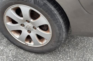 Arret de porte arriere gauche PEUGEOT 307