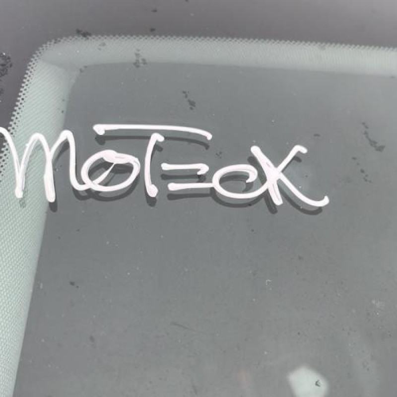 Porte arriere droit OPEL INSIGNIA 1 Photo n°19