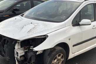 Arret de porte arriere gauche PEUGEOT 307 Photo n°1