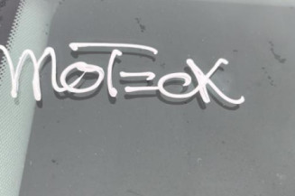 Porte avant droit OPEL INSIGNIA 1