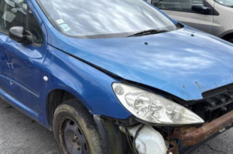 Arret de porte arriere droit PEUGEOT 307