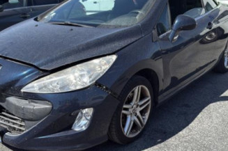 Porte avant gauche PEUGEOT 308 1 Photo n°1