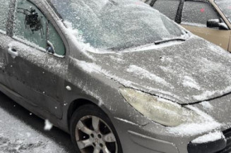 Compteur PEUGEOT 307