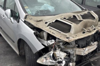 Pompe de direction PEUGEOT 308 1