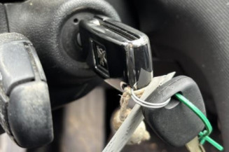 Maitre cylindre (freinage) PEUGEOT 308 1