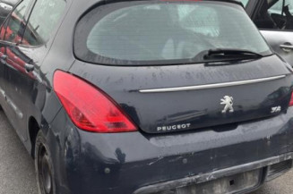 Mastervac PEUGEOT 308 1