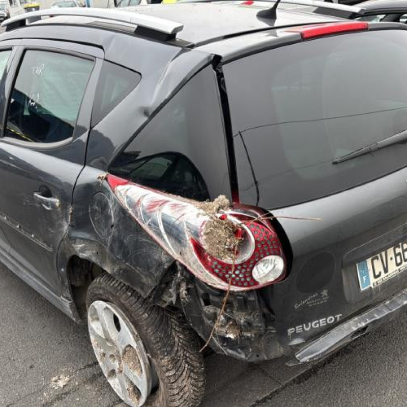 Pedale d'accelerateur PEUGEOT 207 Photo n°7